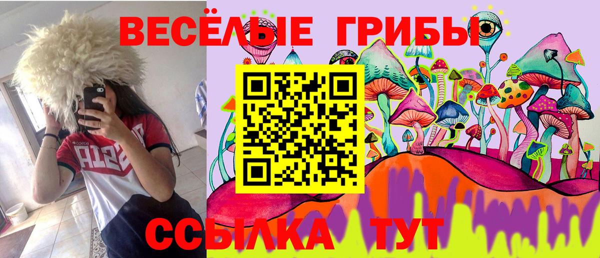Псилоцибиновые грибы прущие грибы Нарткала