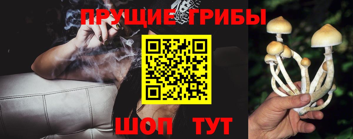 Нарткала  Псилоцибиновые грибы мицелий  Вход с VPN  Псилоцибиновые грибы Cubensis 